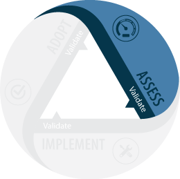 ASSESSMENT